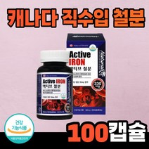 캐나다 직수입 철분 영양제 대용량 임산부 임신 초기 가임기 여성 수유부 성장기 청소년 추천 어지러움 여성 노인 남성 중년 종합 건강기능식품 철분이 많은 음식 영양제, 2개