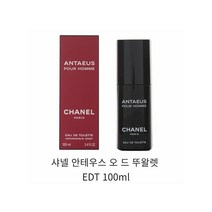 샤넬 안테우스 오 드 뚜왈렛 EDT 100ml
