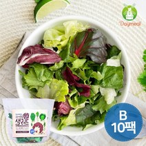 데이밀 자연을담은 샐러드 실속B 100g x 10팩 국내산 야채믹스, 양파드레싱 10개