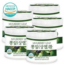푸른들판 국내산 뽕잎환 haccp 인증 휴대용환통 사은품 증정, 170g, 5통