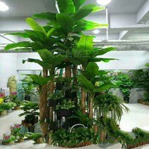 초대형 조화 바나나 나무 동남아 제주도 펜션 수영장, 1미터 바나나나무 추가배송비있음카톡문의요망
