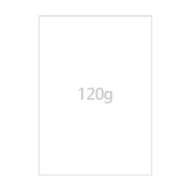 무지 120g A4 백상지 상장용지 10매, 5개