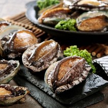 전남 완도 활전복 1kg 전복회 양식 특대 생 제철 전복 완도특산물, 상세페이지 참조4, 완도 활전복 20~22미 1kg