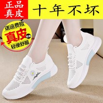 브랜드 코드 끊기 진피 통기 망면 2023 여자운동화