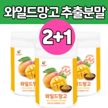 미국 와일드 망고 추출 물 100 % 종자 와일 들 마고 시 씨 앗 분말 가루 와이드 젤리 만들기 만드는 먹는 방 법 와망 스파클링 차 물 티 고 용량 함량 렉틴 파우더 추천 제품