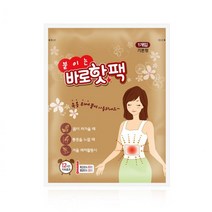 붙이는 바로 핫팩 40g 1매 물리치료핫팩 혹한기 방한