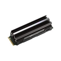 플렉스터 Plextor 키옥시아제 NAND 채용 Gen4 대응 내장 SSD M.2 NVMe 히트 싱크 부속 모델 1TB [ PX-1TM10PG ]