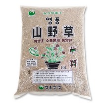 담쟁이가든 영풍 산야초 10리터 야생초 다육 분갈이, 1개