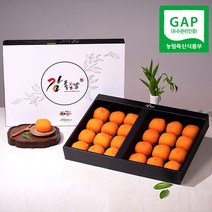 감좋은날 청도 반건시 곶감 선물세트, 2박스, 900g(15입) 중자