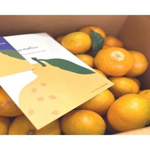 제주 노지 하우스 귤 서귀포 고당도 착한 귤 3kg 5kg 10kg, 제주 노지감귤10kg, 1개