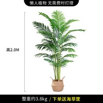 조화나무 인테리어화분 인조 나무 대형 거실 개업 선물 장식 식물 시뮬레이션 화분 바나나나무 장식 조경, 아네모네 200cm
