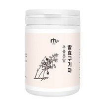 구기자 발효 국산 플란타 김치 유산균 락토바실러스 추출 액 차 분말 가루 직장인 주부 40대 50대 남자 여자, 1통, 100 그램