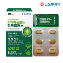 징코플러스 정 기억력 혈행 개선 아연 비타민B 식약처인증 뇌건강 은행잎추출물, 1박스, 징코 30정