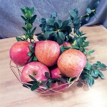 블랙애플 사과유명한곳 충주 안동 청송 부사 꿀 사과 2KG, 부사 사과 2kg