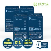 (3+1) 뼈마디엔 어골칼슘 마그네슘 비타민D 1000mgx60정 4박스, 없음