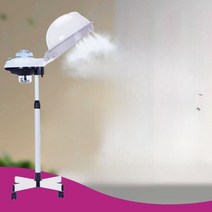 미용실 가정용 헤어 머리 스팀기 두피 스티머 미스트, 보급형