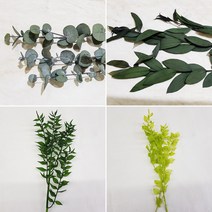 9201 그린잎 드라이플라워 프리져브드모음/그린너리 리프 플라워 인테리어 디퓨저 데코 선물포장모음, 2유칼립 파블로