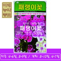 23년산 패랭이꽃 씨앗 500립 - 당년 개화종 화단 정원 골프장 공원 관상용, 1개