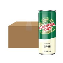 JJ 코카콜라 캐나다 진저에일 250ml x 30입