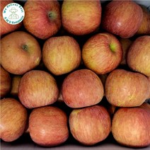 [GMD]고당도 아삭한 청송 부사 사과 정품 가정용 못난이 사과, 가정용 흠과 랜덤 10kg