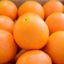 [호주썬키스트오렌지] [업소용 대용량] 씨없는 호주산 미국산 네이블 오렌지 오랜지 썬키스트 블랙라벨 Orange 12brix 고당도 (( 8.5kg / 17kg )), 대용량 8.5kg내외 (36~44과내외)