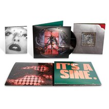 레이디가가 LP Chromatica 앨범 바이닐 크로마티카 Lady Gaga