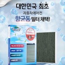 동필터코리아 닥터코퍼 항균동필터 활성탄 항균필터, 스파크(M300) 11년03월~12년12월