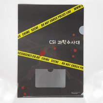 CSI 과학수사대 L자파일 10개