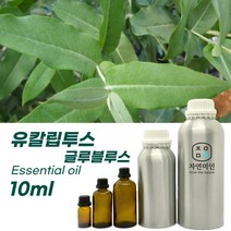 100% PURE 천연 허브 효능 효과 아로마 원액 에센셜 오일 -10ml 모음, 유칼립투스-글루블루스10ml