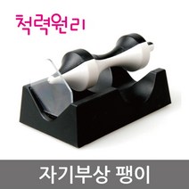자기부상 팽이 무한팽이 척력원리실험 초등학생과학
