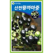 식용 색비름 2g - 씨 씨앗 색비름씨앗 색비름씨 안래홍 나물씨앗 민속채소 채소씨 채소씨앗 나물씨, 32_다농_산천왕까마중(50립)