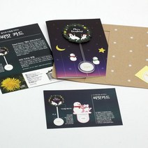파라솔-크리스마스 카드 (민들레) 답례선물 식목일행사 생일 씨, 단품