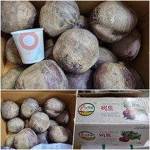 야과몰 흙냄새 가득 국내산 진짜 비트 (중) 새벽 경매 후 발송, 5kg