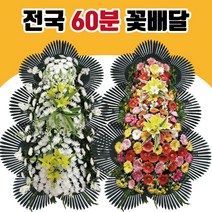 장례사진수목장비석반려동물 TOP20 인기 상품