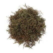 동의한재 자연산 국산 햇 인진호 사철쑥 3kg, 단품