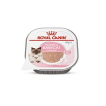 로얄캐닌 마더앤베이비 캣 캔 울트라 소프트무스 100g(단품), 단품, 단품
