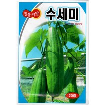 수세미 20립 - 수세미 씨앗 종자