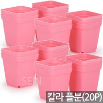 칼라 사각화분 퍼플 20개 - 미니화분 다육이 화분 미니사각 화분컵 연결 이색 플분 플라스틱 모종 연결구 망포트 매쉬포트 재배