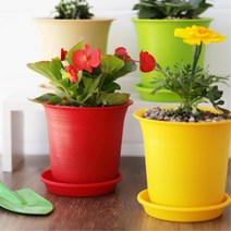 카페 식당 받침접시 컬러풀 미니 원형화분 시골집 관공서 유치원 채소, 베이지