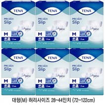 테나 플러스 대형 10매입 6팩 성인용기저귀 테이프형