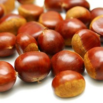 21년 햇밤 달고 맛있는 속이 꽉찬 공주 정안밤 알밤 생밤 밤, 대-2kg