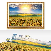 500피스 직소퍼즐 액자세트 해바라기들판5_ 매트골드 교육퍼즐 퍼즐 직소퍼즐 해바라기들판, 상세페이지 참조, 상세페이지 참조
