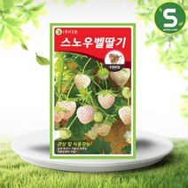 솔림텃밭몰 스노우벨딸기씨앗 100립 식용 관상용 고급 하얀딸기, 단품