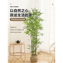 파인드픽 대나무파티션 파티션화분 인테리어가림막 식당 실내조경, 2.5m의 대나무(10그루)