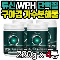 류신 아침대용 식물성 단백질 보충제 분말 파우더 로이신 아미노산 밸런스 20대 30대 40대 50대 몸짱 근육 BCAA WPC WPH 간편 섭취 구아검가수분해물 건강디저트 선물