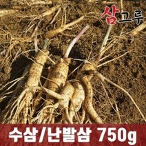 국내산 금산 인삼 수삼 가정용 인삼 5년근1kg (15-18뿌리), 1KG세척(o)