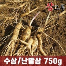금산인삼 5 6년근 수삼 난발삼 원수삼 세척무료 750g, 무료세척, 난발 중 750g (12~15뿌리)
