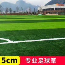 인조잔디매트 골프매트 골프용품 족구장 풋살구장 인조잔디 테니스장 천연 축구장 잔디 조경, 5cm전용축구잔디