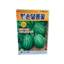 복수박 씨앗 한손달콤꿀수박 100립 / 당도 높은 애플수박 소과형 조생 복수박