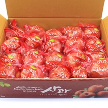 경북 의성 햇 사과 당도선별 껍질째 먹는 세척사과 2kg 3kg 5kg, 세척사과 꼬마11~14과 2kg, 1개